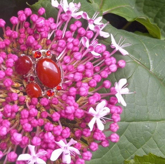 Vintage RUBY & Carnelian Agate Ring - Picture 2 of 16
